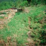 Jasminka S. (2000)  - Opet je proljeće, iako još ima ruševine u našem selu. I naša kuća je srušena do temelja. Ipak imam veliku želju za povratkom na svoje ognjište. 
