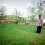 Vojka J.  (2000)  - Voćnjake sam usadila prije rata. 