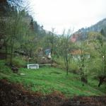 Dubravka M. (2005)  - Bolna tačka – ruševina u otpadu. Najbliži komšiluk , tužna slika u dvorištu tadašnjih komšija.