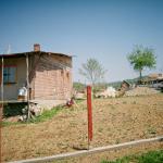 Jasminka S. (2005)  - Moja kuća – sigurnost!