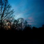 Selma M. (2005)  - Ovo su okoline i večernje atmosfere, slikane sa moje terase. Slike su mi bitne jer stojim u svojoj kući.
