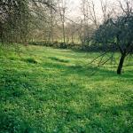 Selma M. (2005)  - Ovo su okoline i večernje atmosfere, slikane sa moje terase. Slike su mi bitne jer stojim u svojoj kući.
