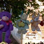 Dubravka M. (2015)  - I mi došli na red,izvukli se iz kutija ,ormana i nekih zaboravljeni kutaka... možda će još neko poželjeti uspavanku uz nas. Miris djetinjstva.. uspomene koje ostaju. 
           