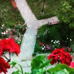 You (2015)  -  U životu ?esto budemo primorani da odaberemo samo jedna put. Teško je odabrati onaj pravi. Photo by Mirjana        
   