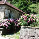 Dubravka M. (2015)  - Stars kuća.. u glavnoj ulici Srebrenice divna... u njoj se jos zivi     